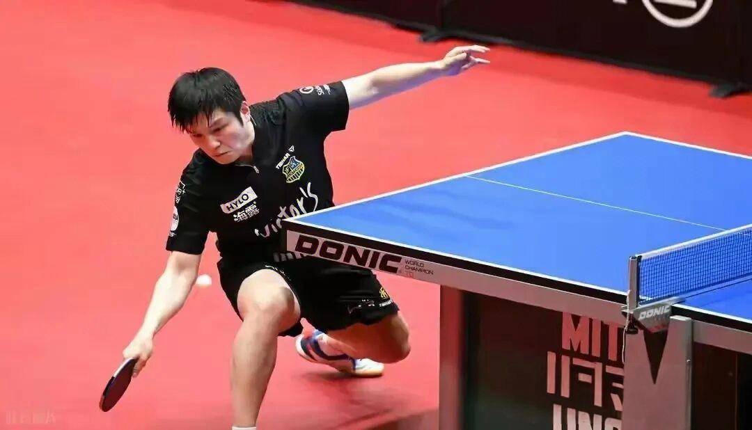 奥地利队横扫葡萄牙队,樊振东点燃赛场 奥地利队横扫葡萄牙队,樊振东点燃赛场