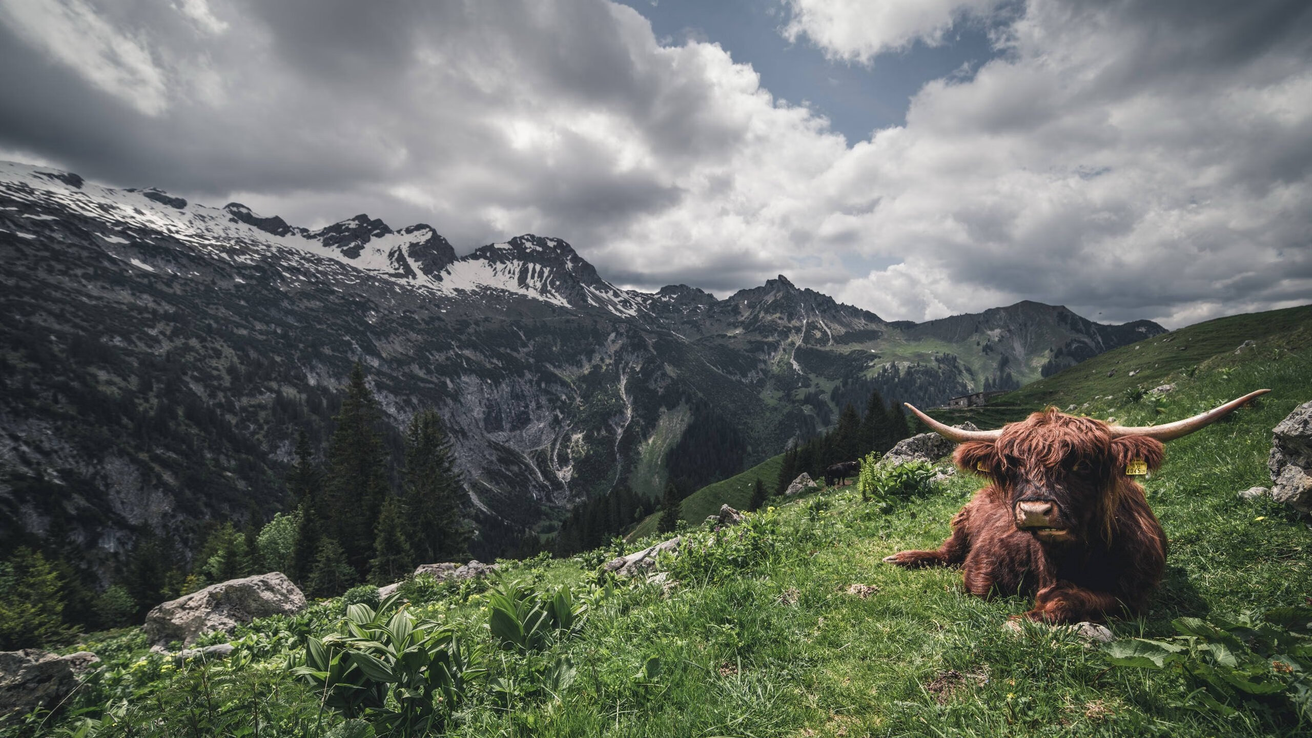 美网逆转与ATP总决赛带队制胜,德约科维奇,逆写胜利法则的唯一性史诗