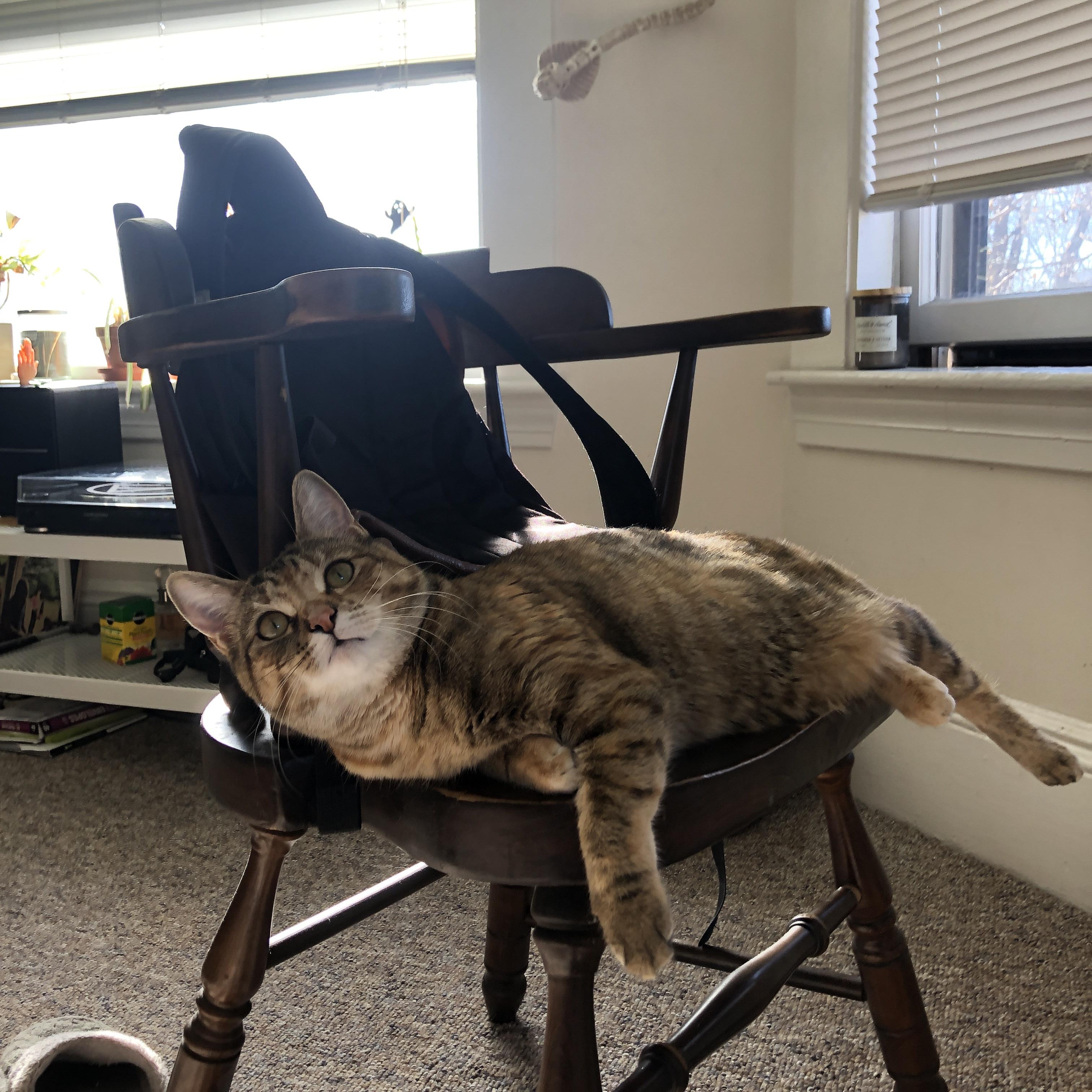 力量的两面,当法国铁骑碾过丹麦,安赛龙在雅努斯之门那头点火