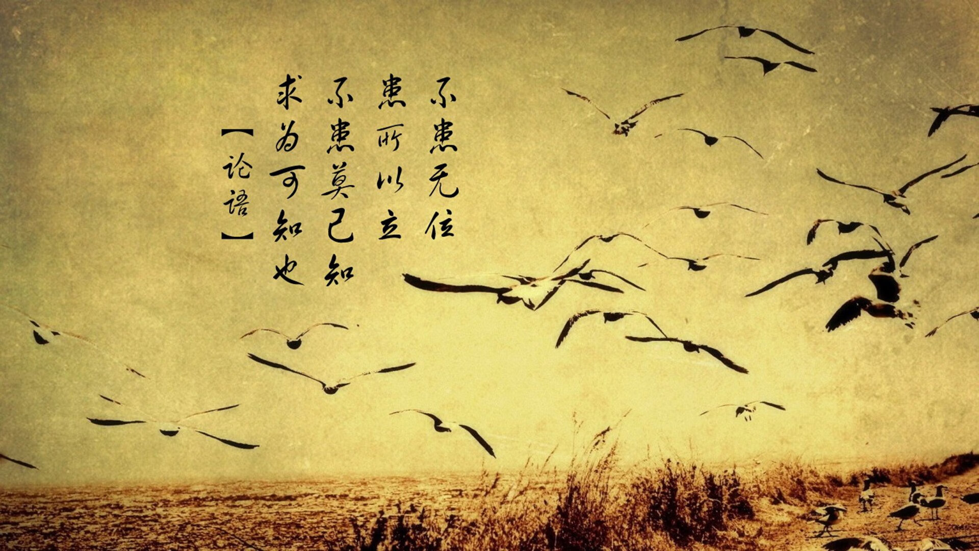 金玟哉的盾与厄瓜多尔的箭，一场跨越大陆的足球对话