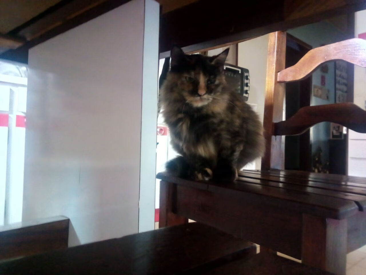 压力是试金石，蜕变在半决赛之夜