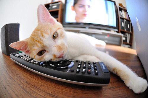 孤岛上的王座，米切尔之夜与一座城市的史诗