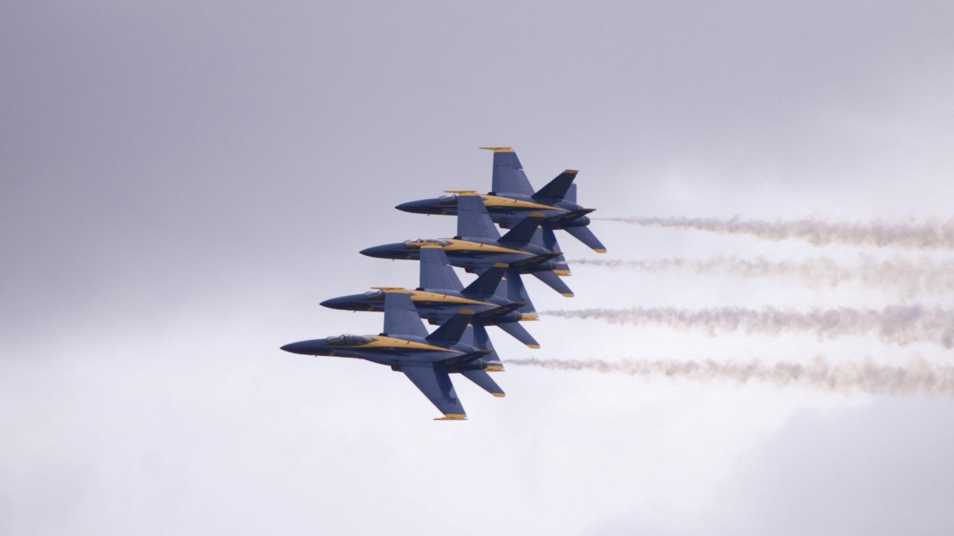 关键先生霍勒迪,他如何成为解锁灰熊横扫太阳的唯一密钥?