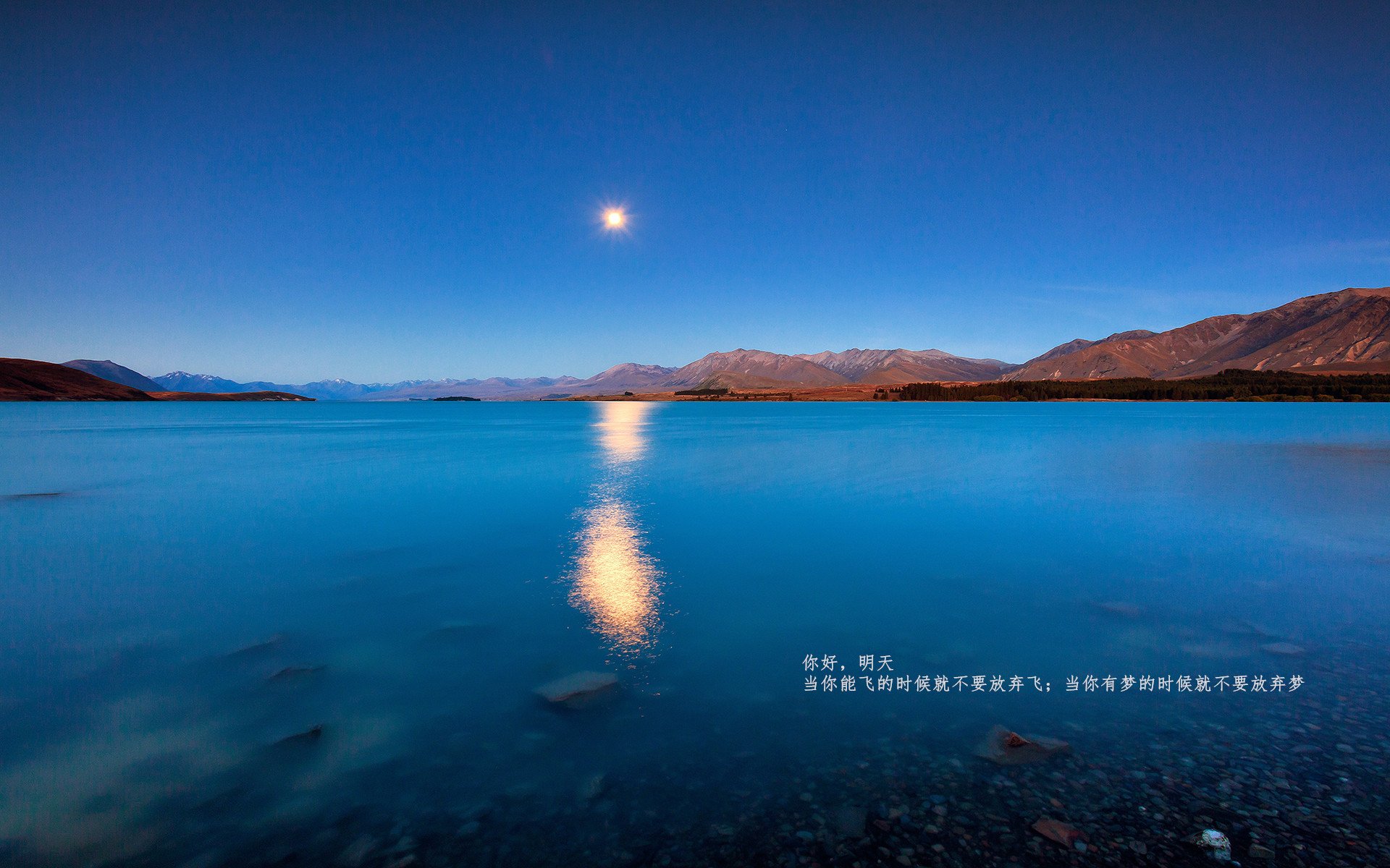 唯一之战，当步行者遭遇辽宁，欧文用一记世纪封盖终结悬念