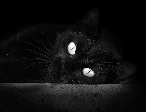 街道赛上的篮球旋风,太阳队以F1速度强势超越魔术,拿下焦点战