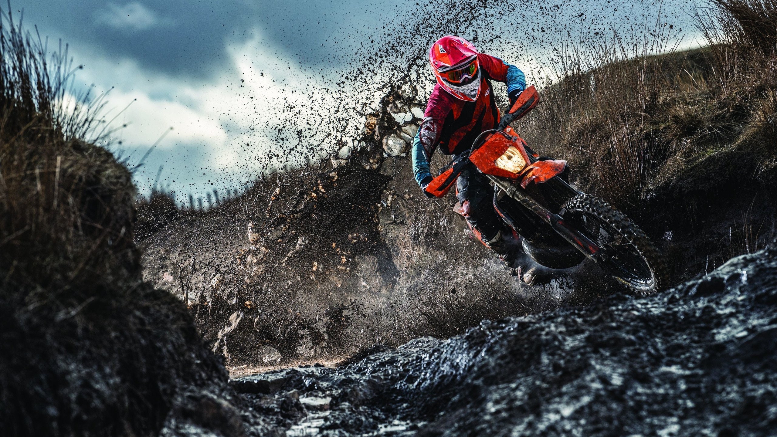 绝境突围，从劳塔罗的利刃到蓝武士的号角