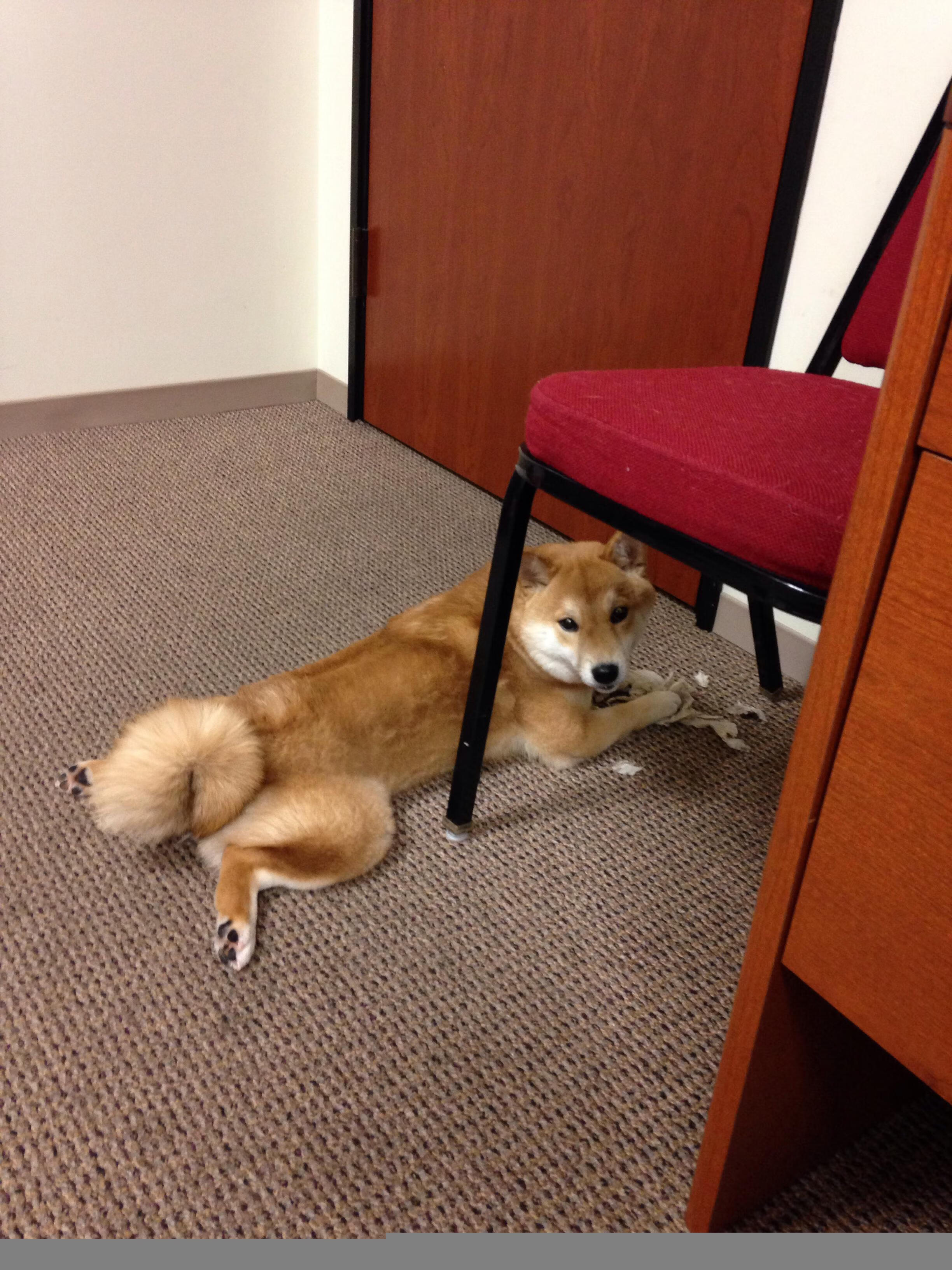 逆天数据难救主！德里赫特孤岛防线在曼城风暴中全面爆炸