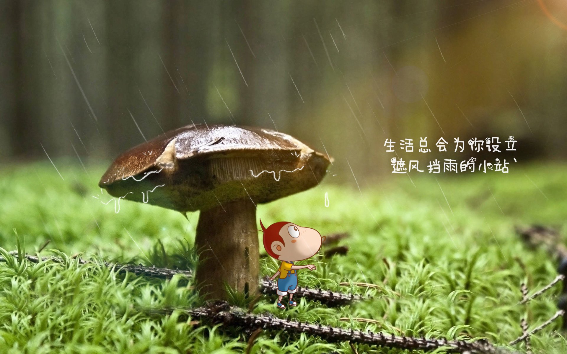冰与火之歌,2026世界杯G组首战,印度风暴席卷北欧,莱万孤星闪耀难挽败局