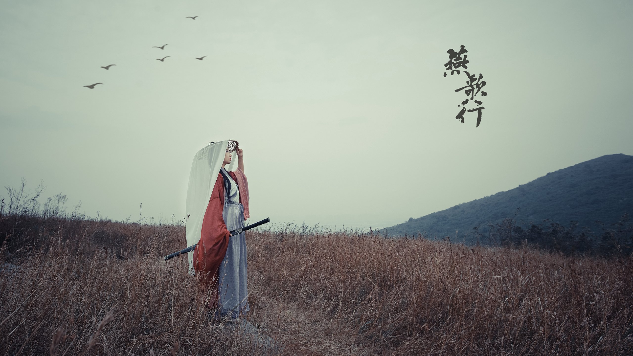 沙漠风暴席卷欧陆，2026世界杯H组，伊朗铁骑碾碎斯洛伐克，内马尔独舞点燃多哈之夜