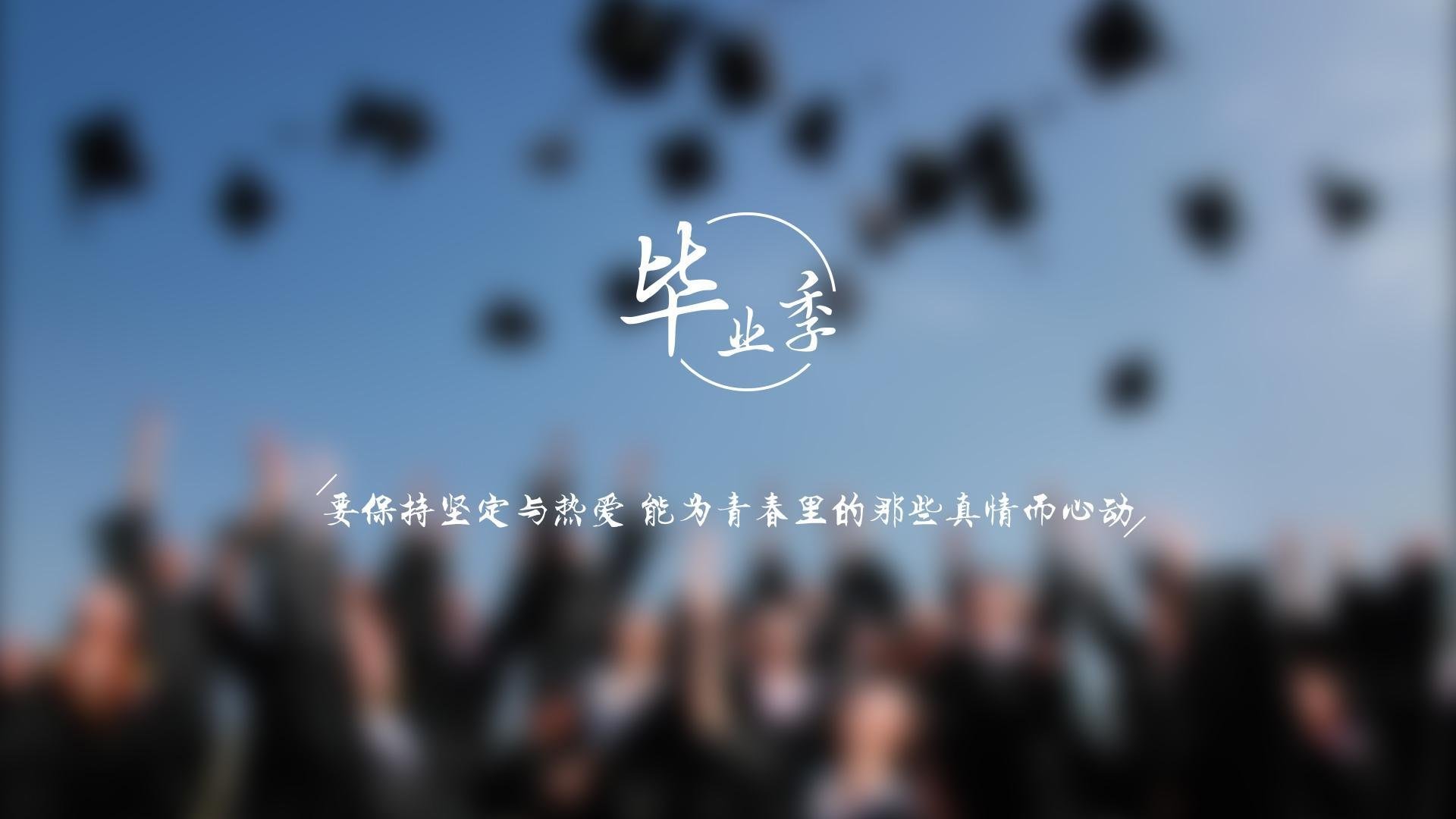 染血的郁金香，2026世界杯的复仇之夜